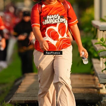 Runner Photo 8008406