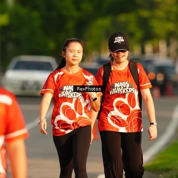 Runner Photo 8009611