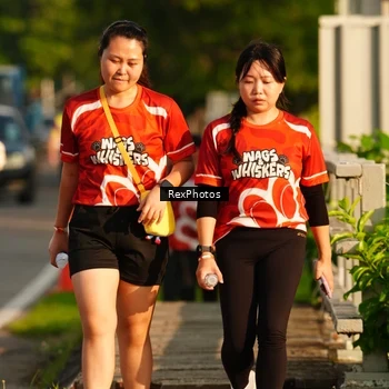 Runner Photo 8010474