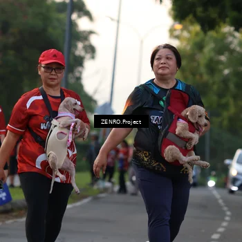 Runner Photo 8012098