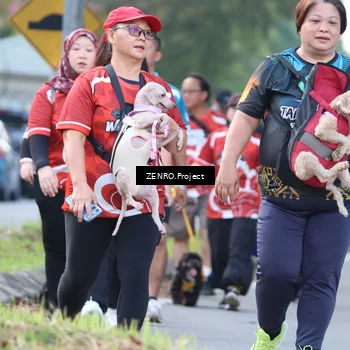 Runner Photo 8012202