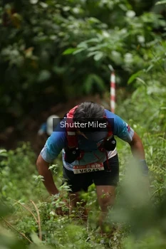 Runner Photo 80127