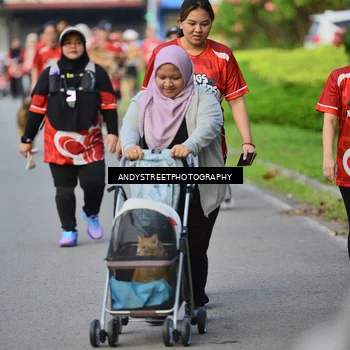 Runner Photo 8014693