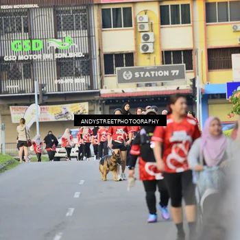 Runner Photo 8014698