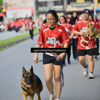 Runner Photo 8014720