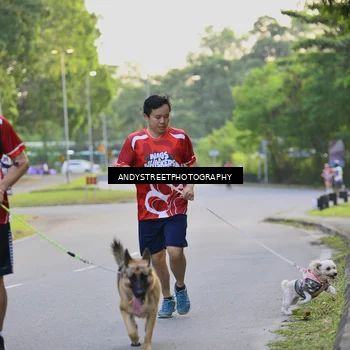 Runner Photo 8014855