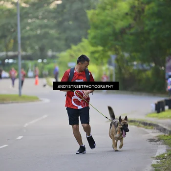 Runner Photo 8014880