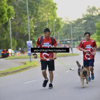 Runner Photo 8014881