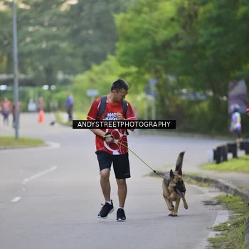 Runner Photo 8014894