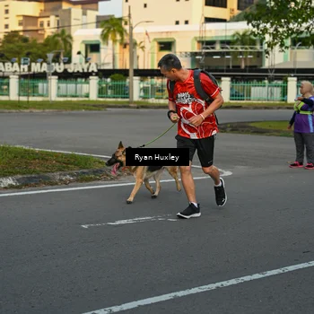 Runner Photo 8016758