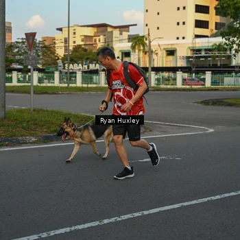 Runner Photo 8016767