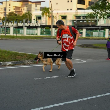 Runner Photo 8016768