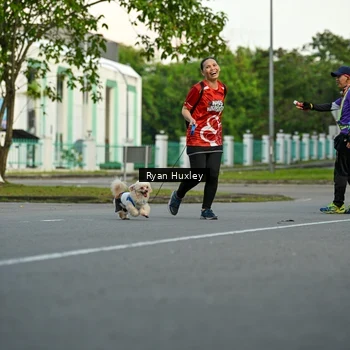 Runner Photo 8016772