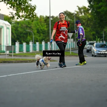 Runner Photo 8016778
