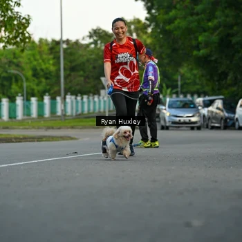 Runner Photo 8016781