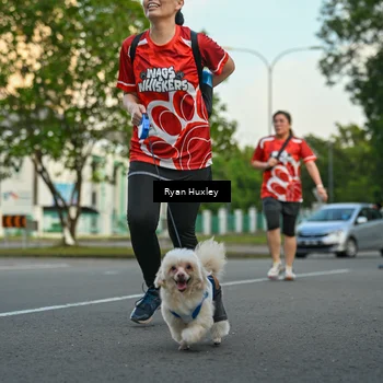 Runner Photo 8016790