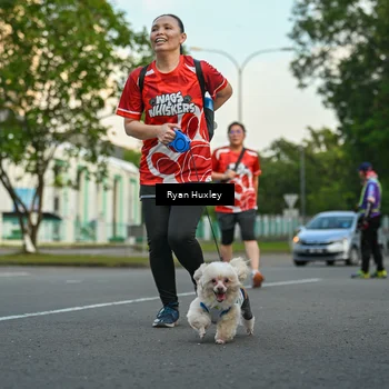 Runner Photo 8016794