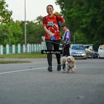 Runner Photo 8016818