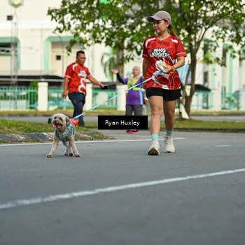 Runner Photo 8016836