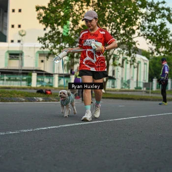 Runner Photo 8016839