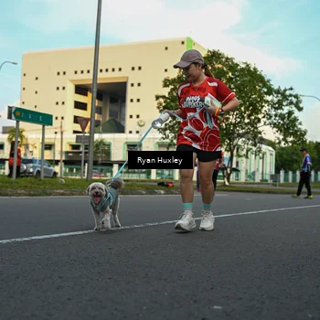 Runner Photo 8016840