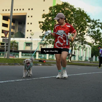 Runner Photo 8016841