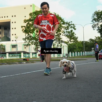 Runner Photo 8016874