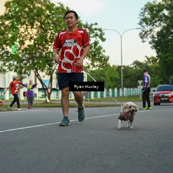 Runner Photo 8016878