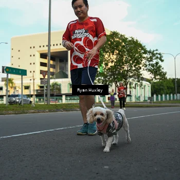 Runner Photo 8016884