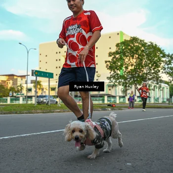 Runner Photo 8016885