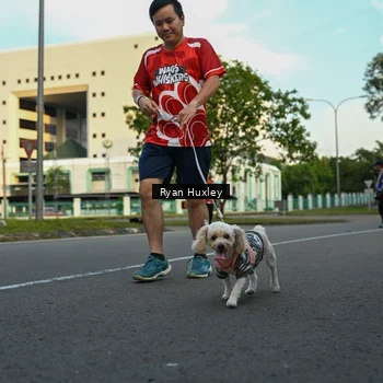 Runner Photo 8016886