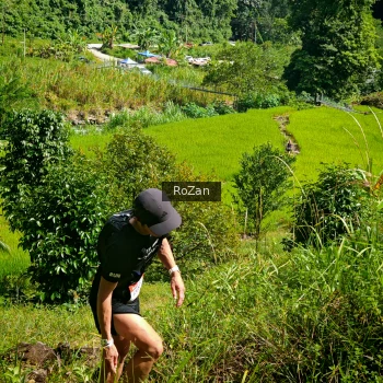 Runner Photo 80170