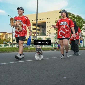 Runner Photo 8017104
