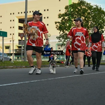 Runner Photo 8017111
