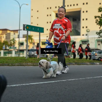Runner Photo 8017115