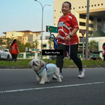 Runner Photo 8017144
