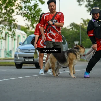 Runner Photo 8017146