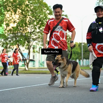 Runner Photo 8017148