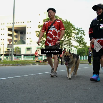 Runner Photo 8017150