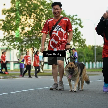 Runner Photo 8017153