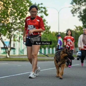 Runner Photo 8017175