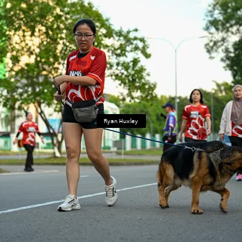 Runner Photo 8017192