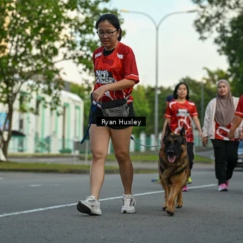 Runner Photo 8017200