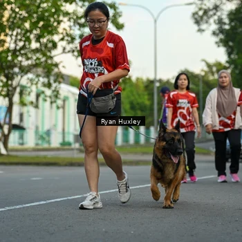 Runner Photo 8017208