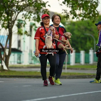 Runner Photo 8017260