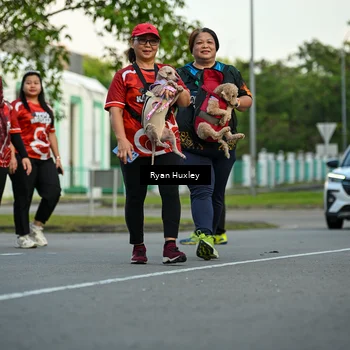 Runner Photo 8017269