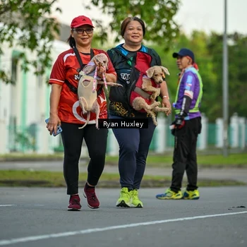 Runner Photo 8017272