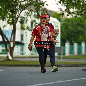 Runner Photo 8017274