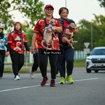 Runner Photo 8017286