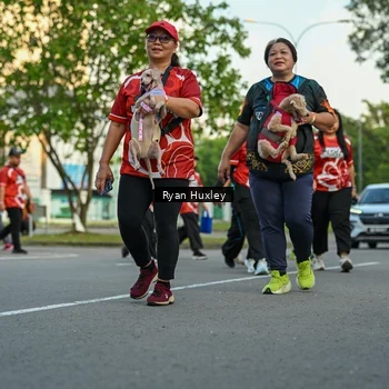 Runner Photo 8017295